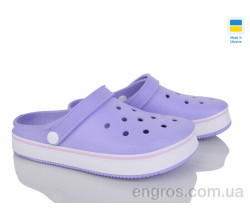 Кроксы Golden Lion